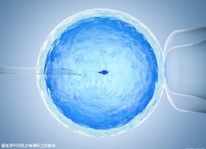 关于暖阳生殖